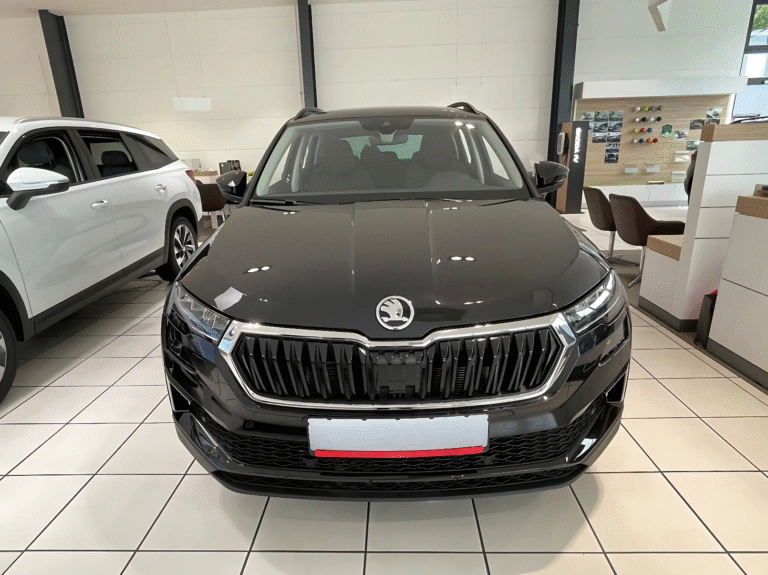 2 Karoq 3
