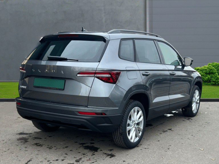 3 Karoq 2